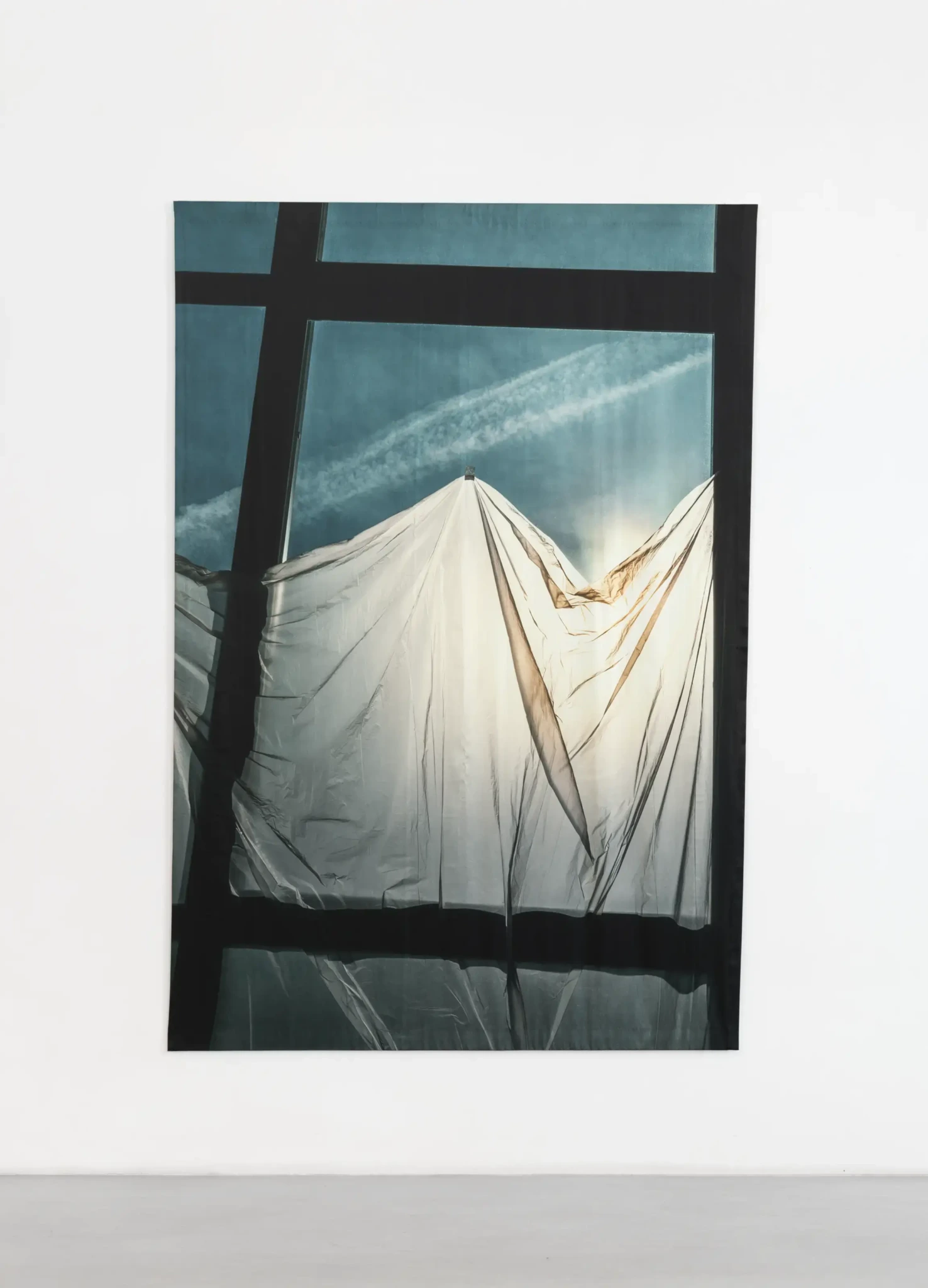 Untitled (1086), 2020 photograph printed on satin 199 × 136 cm