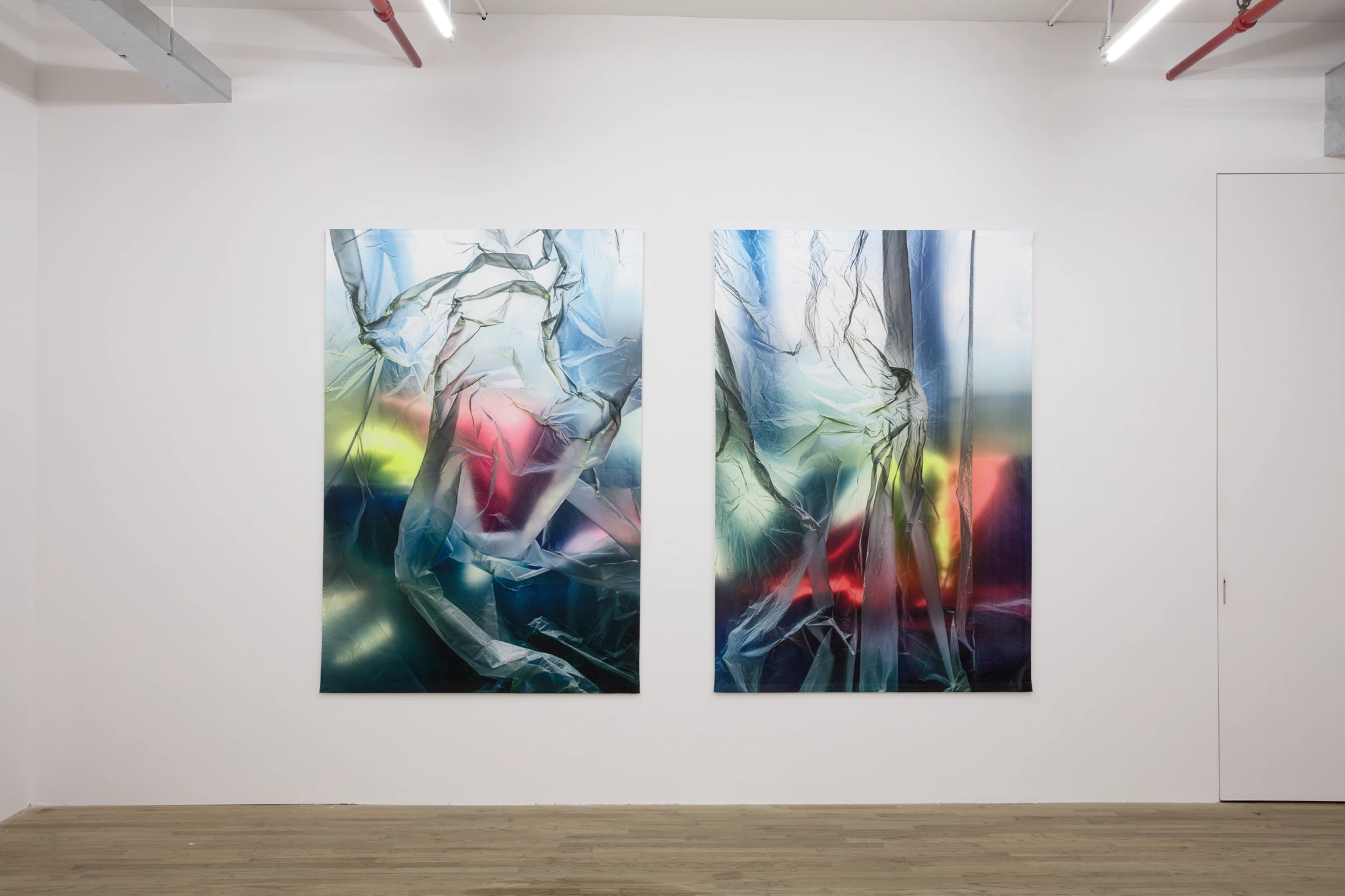 Installation view, Carla Accardi / Elisa Sighicelli 55 Walker, New York, 2020 [Bortolami, kaufmann repetto, Andrew Kreps]