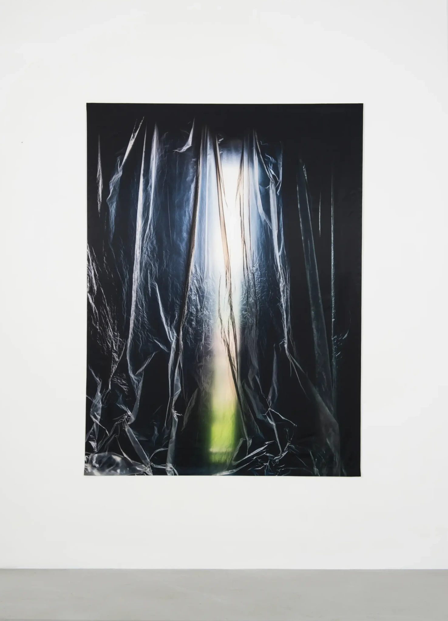 Untitled (3157), 2020 photograph printed on satin 199 × 136 cm