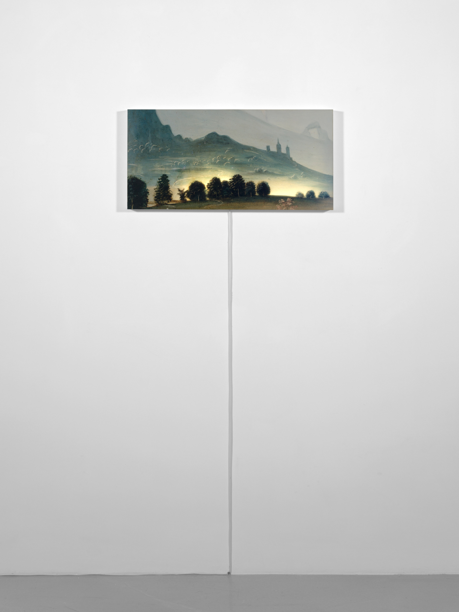Untitled (Homage to Fungai 3), 2005partially backlit C-print mounted on lightbox 36.5 × 78 × 5 cm