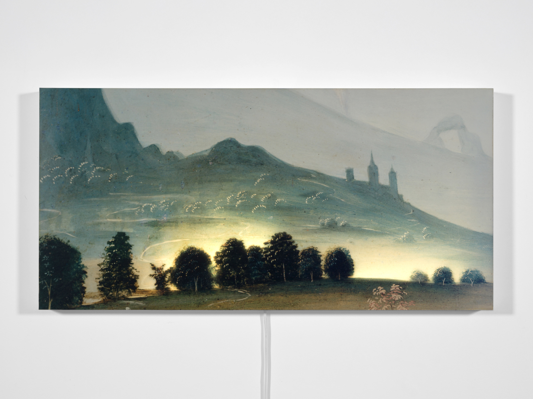 Untitled (Homage to Fungai 3), 2005partially backlit C-print mounted on lightbox 36.5 × 78 × 5 cm